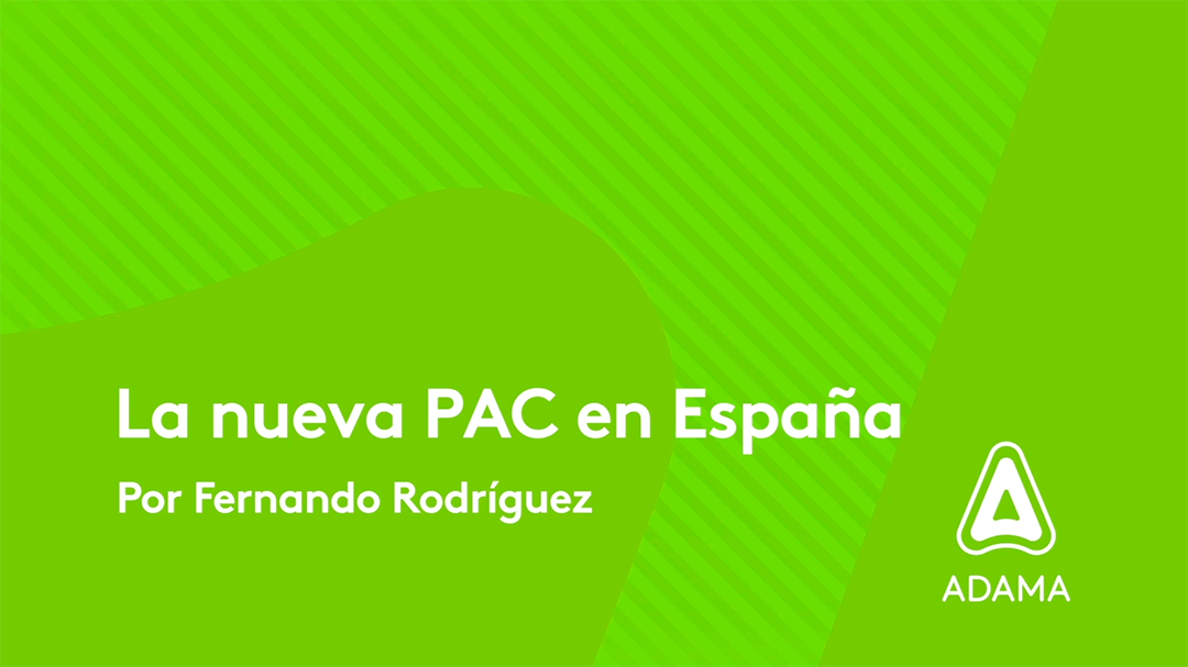 La nueva PAC en España